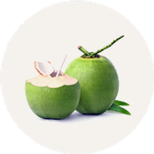 Coconut